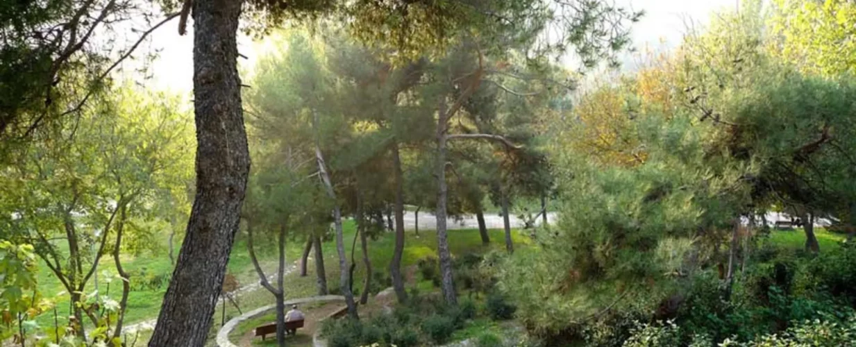 بهترین پارک‌ها و فضاهای سبز نزدیک تکسیم و تارلاباشی استانبول