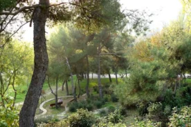 Complete Guide to Green Spaces Near Tarlabaşı Boulevard and Taksim Square, Istanbul